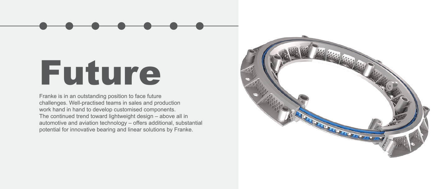 Franke Bespoke Bearings 2010